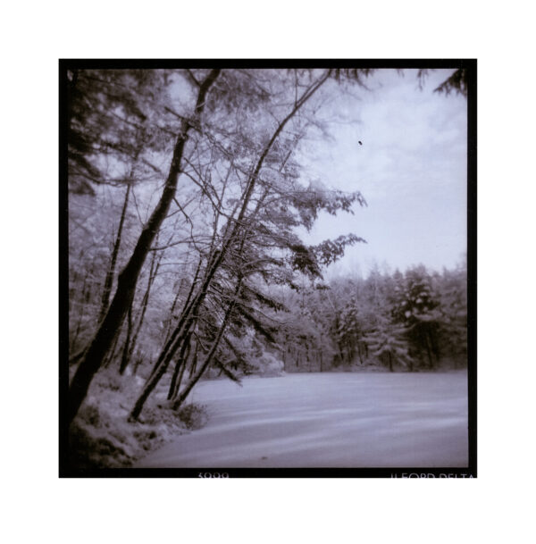 Holga 120 N, Delta 400 in Tanol, Select VC (PW14), SE5 Lith A, B, D, water 25+25+30+1000ml 6 minutes, short rinse followed by Catechol new 4 minutes. MT10 Gold toner 4 minutes.